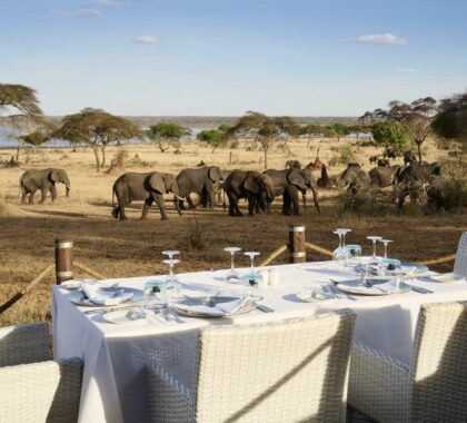 Dining with elephants in sights.