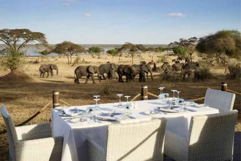 Dining with elephants in sights.