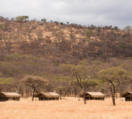 Serengeti Kati Kati Camp set up.