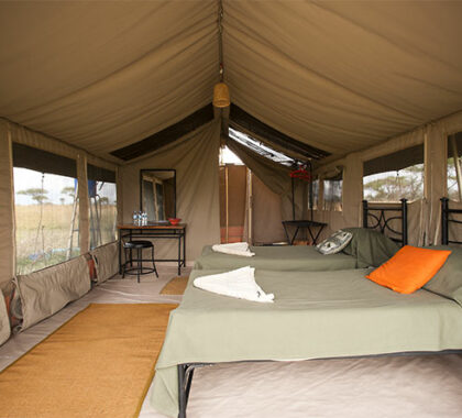 serengeti-kati-kati-inside-the-tent1-2