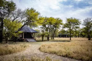Ground-level pathways leading you to your tent creates an authentic feel. 