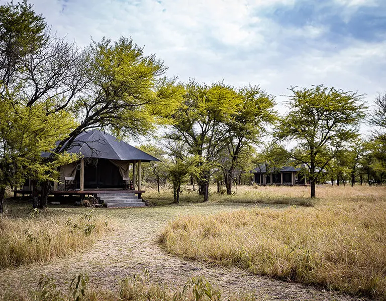 Ground-level pathways leading you to your tent creates an authentic feel. 