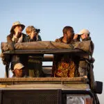 Game drives will become the highlight of your days.