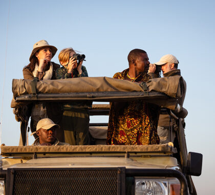 Game drives will become the highlight of your days.