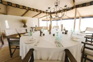 Elegant dining settings.