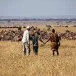 Ditch the vehicle for an afternoon and get a lay of the land on foot. | Serian's Serengeti Lamai