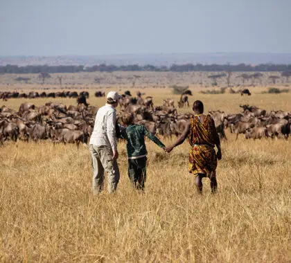 Deje el vehículo por una tarde y conozca el terreno a pie. | Serian's Serengeti Lamai