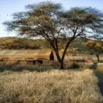 Privacidad absoluta, tranquilidad y naturaleza salvaje africana sin adulterar: la oferta única del Lengai Camp.