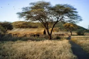 Privacidad absoluta, tranquilidad y naturaleza salvaje africana sin adulterar: la oferta única del Lengai Camp.