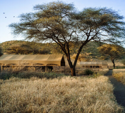 Absolute privacy, tranquility and unadulterated African wilderness - Lengai Camp's unique offerings.