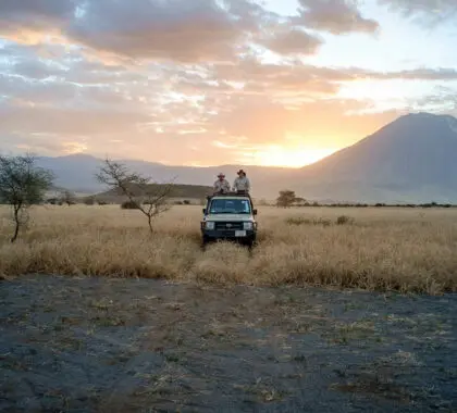 Hop on the game drive vehicle and head into any direction - the scenery around Lengai will leave you completely awestruck.