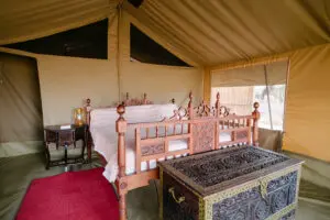 Las tiendas están equipadas con electricidad, disponible toda la noche para que puedas cargar aparatos electrónicos y tener luz.