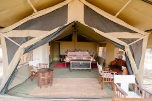 Disfrute de pequeños lujos como un escritorio, un armario y sillas de safari dentro de su tienda.