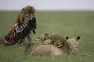 Excepcional avistamiento de animales.