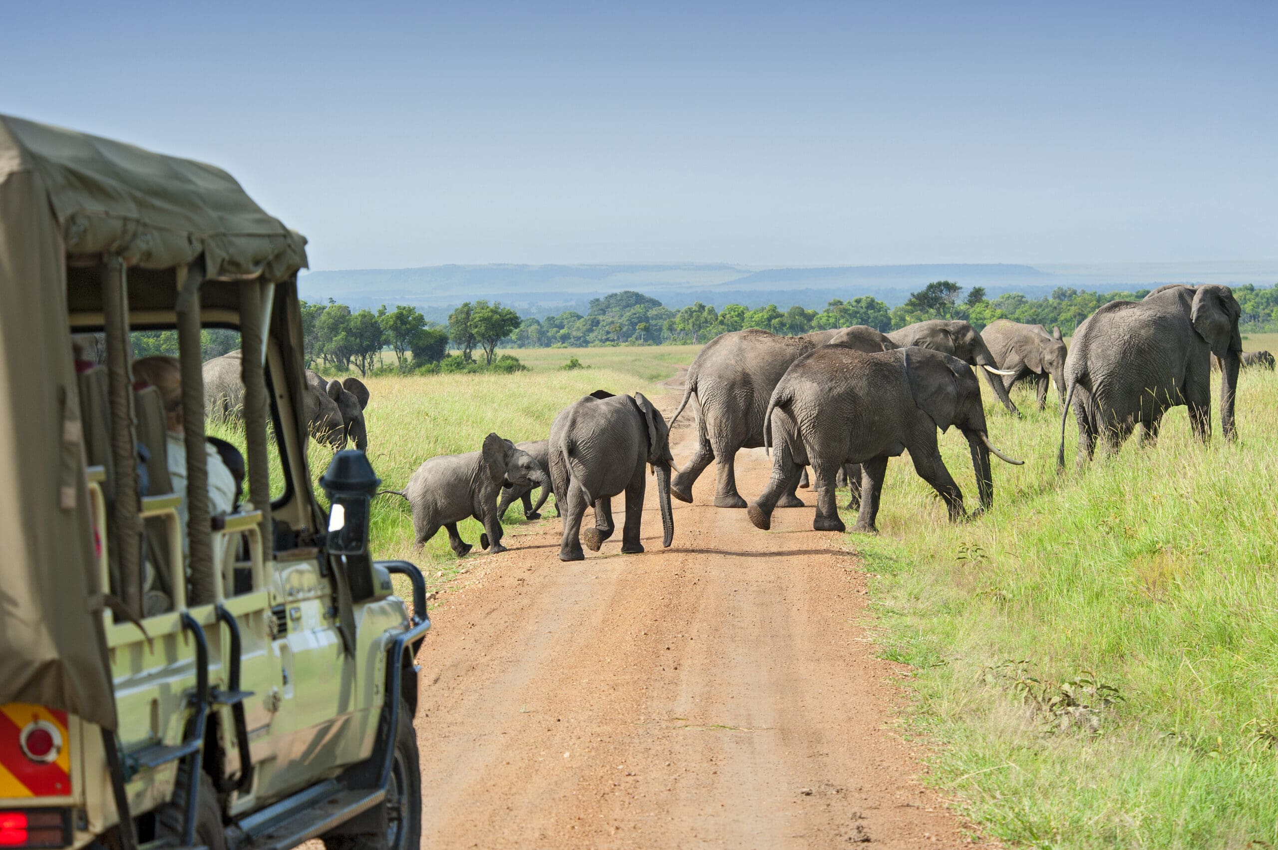 Un vehículo de safari se detiene ante una manada de elefantes que cruza la carretera | Go2Africa