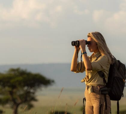 Guía definitiva de safaris para mujeres