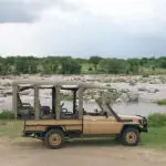 Explore las llanuras del Serengeti.