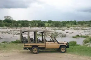 Explore the Serengeti plains.