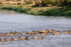 River crossings.