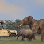 Recorridos de caza en los valles aislados que albergan el campamento Porini. | Porini Rhino Camp