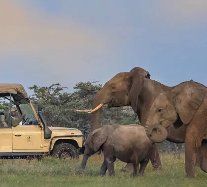 Recorridos de caza en los valles aislados que albergan el campamento Porini. | Porini Rhino Camp