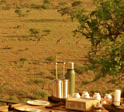 Have your breakfast al fresco while enjoying superb views of the South Amboseli savannah.