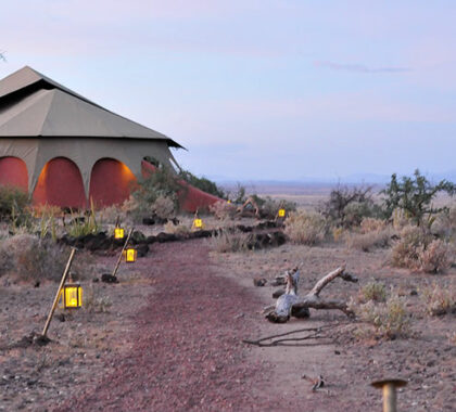 Shu’Mata is a secluded camp of luxurious Hemingway-style tents set on a leopard hill.