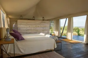 Guest tent interior.
