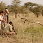 Enjoy expertly guided walking safaris, accompanied by an armed park ranger.