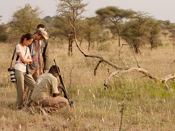 Enjoy expertly guided walking safaris, accompanied by an armed park ranger.