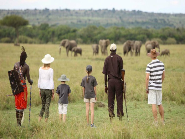 Walking safaris offer you prime locations for animal sightings.