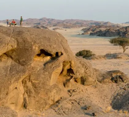 Sea testigo del hechizante paisaje del desierto del Namib.