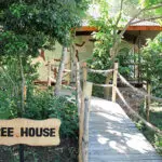 The Tree House is a permanent tented suite built into the branches of trees in the garden. 