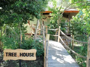 The Tree House is a permanent tented suite built into the branches of trees in the garden. 