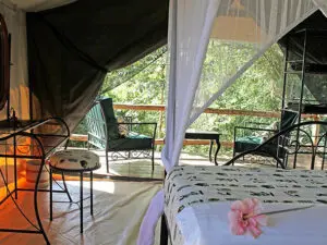 Simple but stylish, it has been designed for privacy, with a double bed, the Tree House is recommended for couples and honeymooners. 