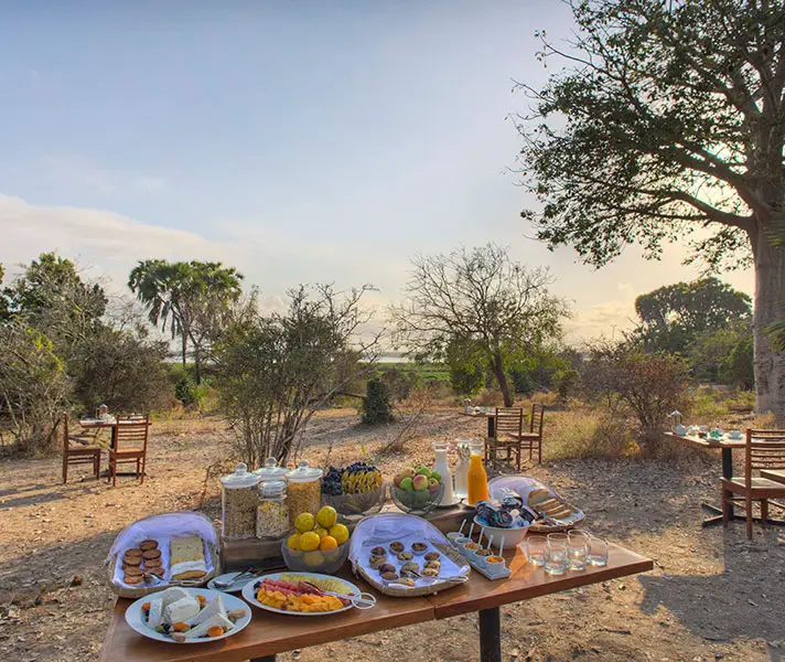 breakfast-in-camp-roho_ye_selous