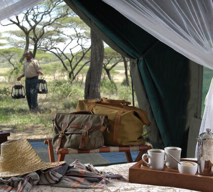 Enjoy the morning in your bed at Kirurumu Manyara Lodge.