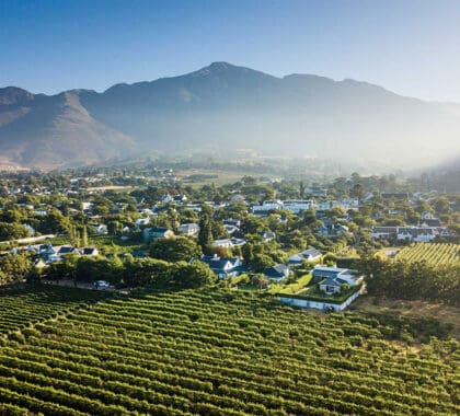 La-Cle-des-Montagnes-Set-on-a-working-wine-farm