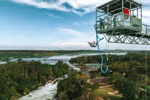 Bungee jumping.