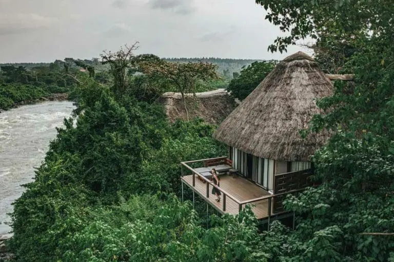 Room with a view.
