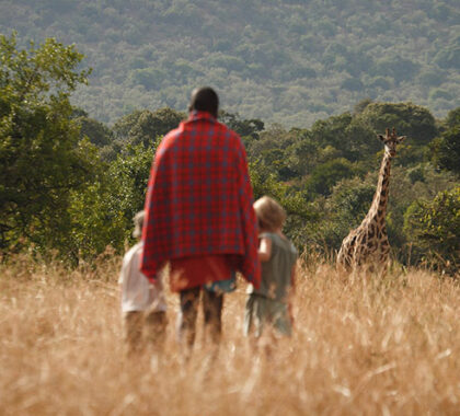Experienced guides introduce your children to the wonders of the Mara with tailored activities & games.