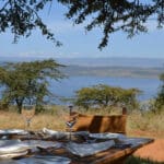 Enjoy a gourmet bush lunch under a shady tree and revel in the views over Lake Nakuru.