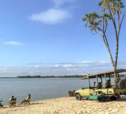 Explorar Ruaha y Nyerere en Tanzania