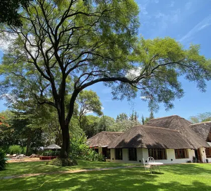 Terrenos de la Granja Ngorongoro.