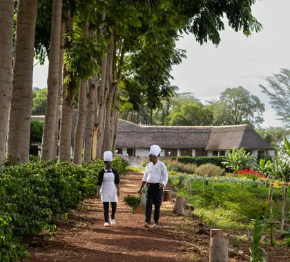 Ngorongoro Farm House Chefs and Garden.