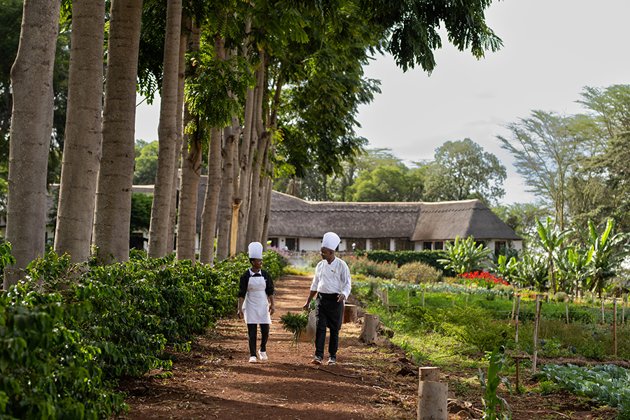Ngorongoro Farm House Chefs and Garden.
