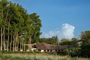 Ngorongoro Farm House Main House and Vegetable Garden.