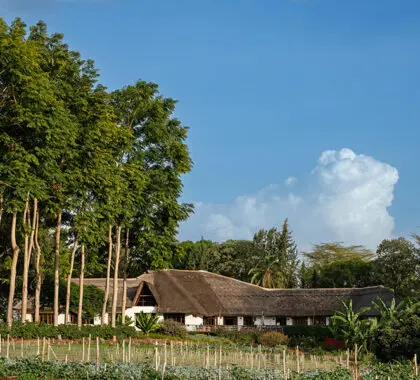 Ngorongoro Farm House Main House and Vegetable Garden.