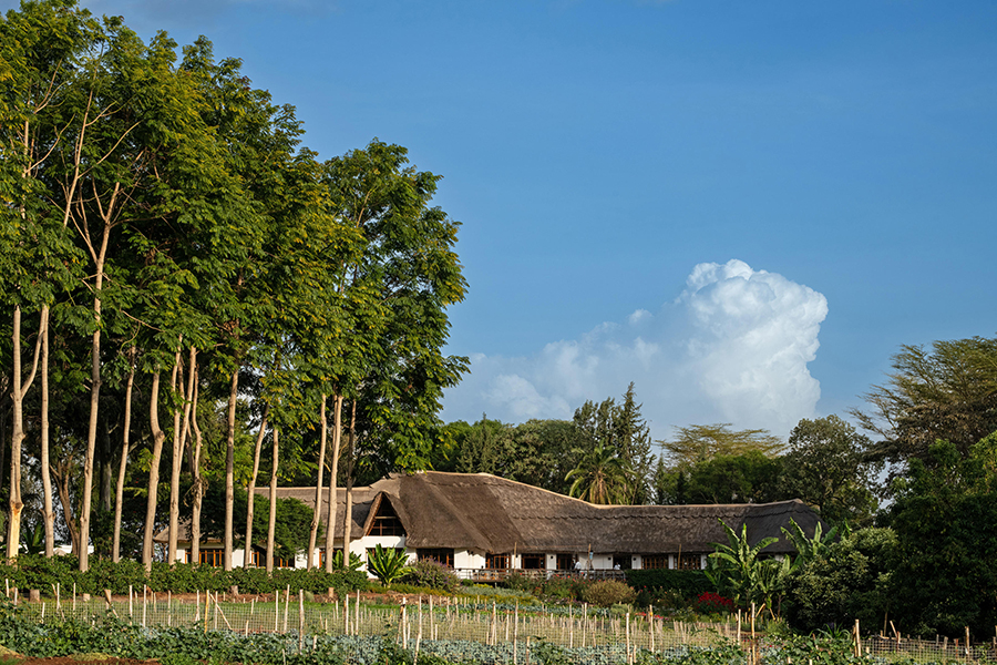 ngorongoro-farm-house-main-house-and-vegetable-garden