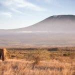 Satao Elerai Camp is located in a 5 000ac / 2 000ha private conservation area facing Africa’s giant, Mount Kilimanjaro.